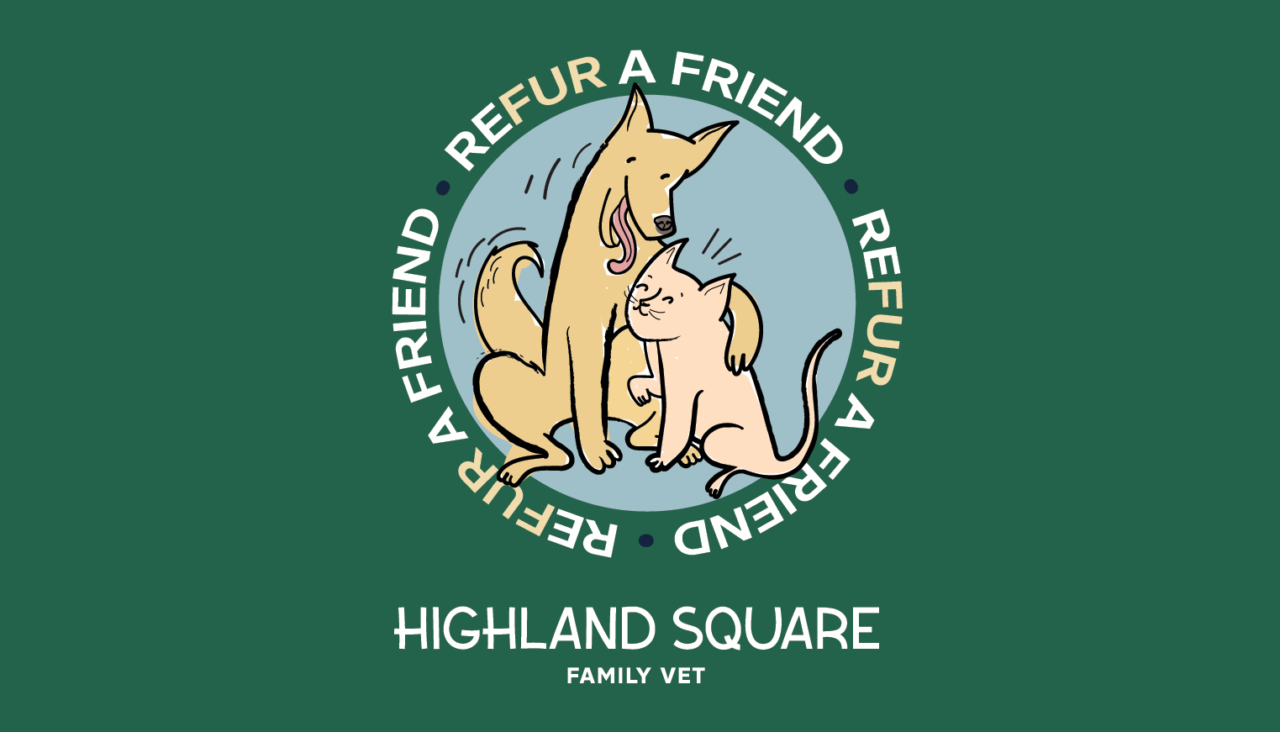 Lakeland Veterinary Offers Highland Square Family Vet