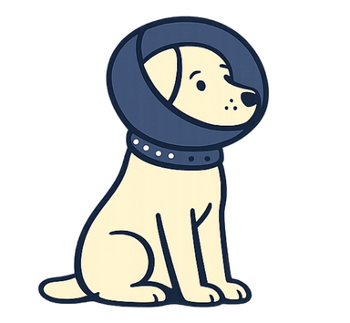 illustration of a dog holding stethoscope in mouth
